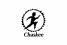 Chaskee REVERSIBLE CAP STONE (graphite)