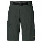 Jack Wolfskin HOGGAR SHORTS MEN (spruce)