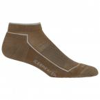 Icebreaker WOMEN'S HIKE COOL-LITE LOW CUT (flint)