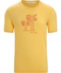 Icebreaker M TECH LITE II SS TEE GIANT FERNS (summer)