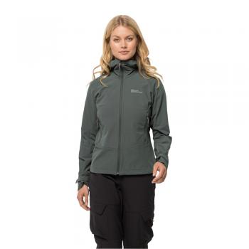 Jack Wolfskin KAMMWEG JKT W (slate green)