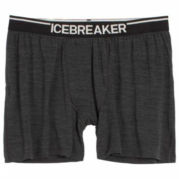 Icebreaker MENS ANATOMICA BOXERS (Jet HTHR/Black)