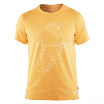 Fjällräven GREENLAND PRINTED T-SHIRT (dandelion)