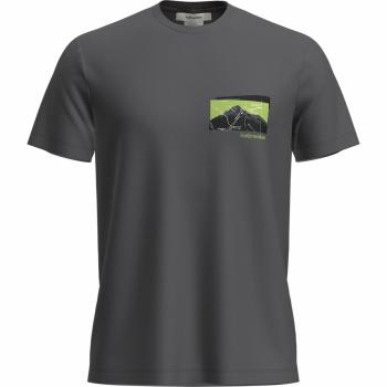 Icebreaker M 150 TECH LITE SS TEE INFOGRAPHIC (obsidian)