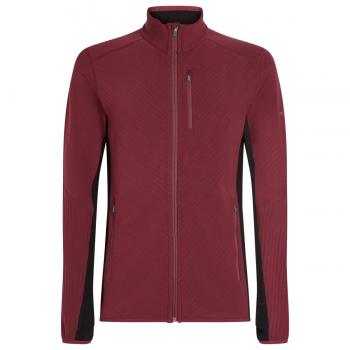 Icebreaker M DESCENDER LS ZIP (port/black/CB)