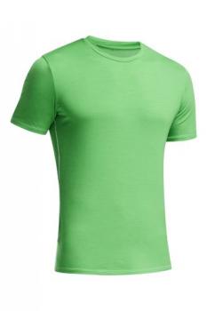 Icebreaker  MENS ANATOMICA SS CREWE (Balsam/White)