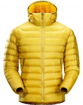 Arc'teryx CERIUM LT HOODY MEN'S (golden palm)