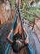 other_image